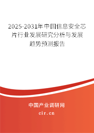 2025-2031年中國信息安全芯片行業(yè)發(fā)展研究分析與發(fā)展趨勢預(yù)測報告