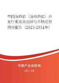 中國油頁巖（油母頁巖）開發(fā)行業(yè)發(fā)展調(diào)研與市場前景預(yù)測報(bào)告（2025-2031年）