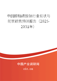 中國樟腦磺酸鈉行業(yè)現(xiàn)狀與前景趨勢預(yù)測報告（2025-2031年）