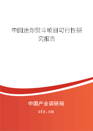 中國(guó)迷你熨斗項(xiàng)目可行性研究報(bào)告