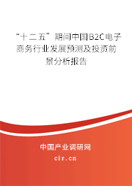 “十二五”期間中國B2C電子商務行業(yè)發(fā)展預測及投資前景分析報告