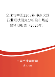 全球與中國220v脈沖點(diǎn)火器行業(yè)現(xiàn)狀研究分析及市場前景預(yù)測報告（2025年）