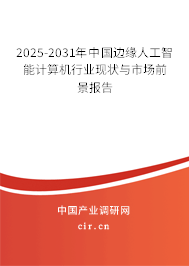 2025-2031年中國邊緣人工智能計算機(jī)行業(yè)現(xiàn)狀與市場前景報告