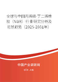 全球與中國(guó)丙烯腈-丁二烯橡膠（NBR）行業(yè)研究分析及前景趨勢(shì)（2025-2031年）