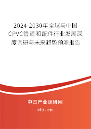 2024-2030年全球與中國(guó)CPVC管道和配件行業(yè)發(fā)展深度調(diào)研與未來(lái)趨勢(shì)預(yù)測(cè)報(bào)告