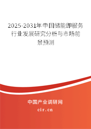 2025-2031年中國儲(chǔ)能即服務(wù)行業(yè)發(fā)展研究分析與市場(chǎng)前景預(yù)測(cè)