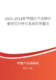 2025-2031年中國(guó)大氣治理行業(yè)研究分析與發(fā)展前景報(bào)告