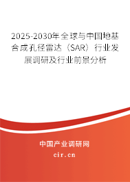2025-2030年全球與中國地基合成孔徑雷達（SAR）行業(yè)發(fā)展調(diào)研及行業(yè)前景分析