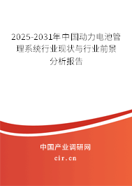 2024-2030年中國動(dòng)力電池管理系統(tǒng)行業(yè)現(xiàn)狀與行業(yè)前景分析報(bào)告