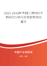 2025-2031年中國(guó)二維材料市場(chǎng)研究分析與前景趨勢(shì)預(yù)測(cè)報(bào)告