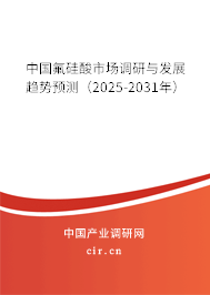 中國(guó)氟硅酸市場(chǎng)調(diào)研與發(fā)展趨勢(shì)預(yù)測(cè)（2025-2031年）