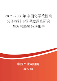 2025-2031年中國化學改性高分子材料市場深度調查研究與發(fā)展趨勢分析報告