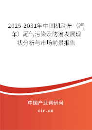 2025-2031年中國機動車（汽車）尾氣污染及防治發(fā)展現(xiàn)狀分析與市場前景報告