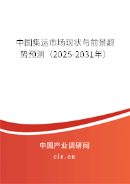 中國(guó)集運(yùn)市場(chǎng)現(xiàn)狀與前景趨勢(shì)預(yù)測(cè)（2025-2031年）