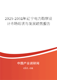 2025-2031年遼寧電力勘察設(shè)計市場現(xiàn)狀與發(fā)展趨勢報告