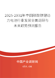 2025-2031年中國(guó)磷酸鐵鋰動(dòng)力電池行業(yè)發(fā)展全面調(diào)研與未來(lái)趨勢(shì)預(yù)測(cè)報(bào)告