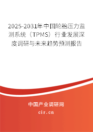 2025-2031年中國輪胎壓力監(jiān)測(cè)系統(tǒng)（TPMS）行業(yè)發(fā)展深度調(diào)研與未來趨勢(shì)預(yù)測(cè)報(bào)告