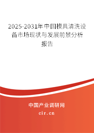 2025-2031年中國模具清洗設(shè)備市場現(xiàn)狀與發(fā)展前景分析報告