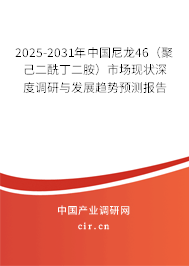 2025-2031年中國尼龍46（聚己二酰丁二胺）市場現(xiàn)狀深度調(diào)研與發(fā)展趨勢預測報告