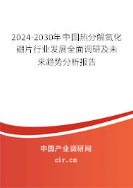2024-2030年中國熱分解氮化硼片行業(yè)發(fā)展全面調研及未來趨勢分析報告