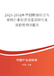 （最新）中國數(shù)據(jù)標注與審核行業(yè)現(xiàn)狀深度調(diào)研與發(fā)展趨勢預測報告