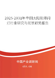 2025-2031年中國(guó)太陽(yáng)能爆閃燈行業(yè)研究與前景趨勢(shì)報(bào)告