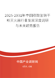 2025-2031年中國碳酸氫鈉干粉滅火器行業(yè)發(fā)展深度調(diào)研與未來趨勢報告