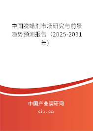 中國脫蠟劑市場研究與前景趨勢預(yù)測報(bào)告（2025-2031年）