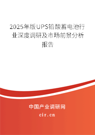 2025年版UPS鉛酸蓄電池行業(yè)深度調(diào)研及市場前景分析報告
