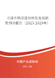 冷媒市場(chǎng)深度剖析及發(fā)展趨勢(shì)預(yù)測(cè)報(bào)告（2023-2029年）