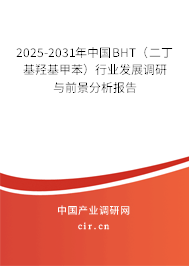 2025-2031年中國BHT（二丁基羥基甲苯）行業(yè)發(fā)展調研與前景分析報告