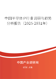 中國半導(dǎo)體IP行業(yè)調(diào)研與趨勢分析報告（2025-2031年）