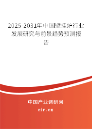 2025-2031年中國壁掛爐行業(yè)發(fā)展研究與前景趨勢預(yù)測報告