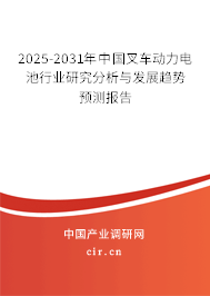 2025-2031年中國叉車動(dòng)力電池行業(yè)研究分析與發(fā)展趨勢(shì)預(yù)測報(bào)告