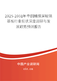 2025-2031年中國觸摸屏玻璃基板行業(yè)現(xiàn)狀深度調(diào)研與發(fā)展趨勢預(yù)測報告