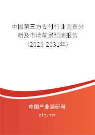 中國第三方支付行業(yè)調(diào)查分析及市場(chǎng)前景預(yù)測(cè)報(bào)告（2025-2031年）