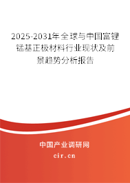 2025-2031年全球與中國富鋰錳基正極材料行業(yè)現狀及前景趨勢分析報告
