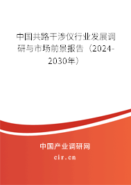 中國共路干涉儀行業(yè)發(fā)展調(diào)研與市場前景報告（2024-2030年）