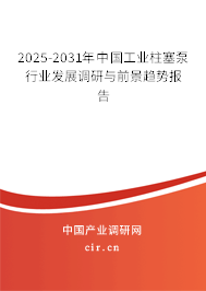 2025-2031年中國工業(yè)柱塞泵行業(yè)發(fā)展調(diào)研與前景趨勢報告 2025-2031年中國工業(yè)柱塞泵行業(yè)發(fā)展調(diào)研與前景趨勢報告