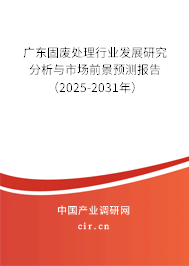 廣東固廢處理行業(yè)發(fā)展研究分析與市場前景預測報告（2025-2031年）