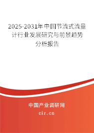 2025-2031年中國節(jié)流式流量計(jì)行業(yè)發(fā)展研究與前景趨勢分析報告