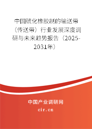 中國硫化橡膠制的輸送帶（傳送帶）行業(yè)發(fā)展深度調(diào)研與未來趨勢報告（2025-2031年）