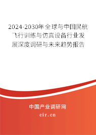 2024-2030年全球與中國民航飛行訓練與仿真設備行業(yè)發(fā)展深度調研與未來趨勢報告