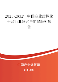 2025-2031年中國商業(yè)虛擬化平臺行業(yè)研究與前景趨勢報告