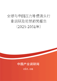 全球與中國壓力補償?shù)晤^行業(yè)調(diào)研及前景趨勢報告（2025-2031年）