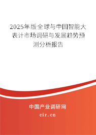 2025年版全球與中國智能大表計市場調(diào)研與發(fā)展趨勢預(yù)測分析報告