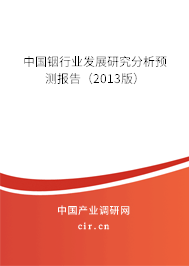 中國銦行業(yè)發(fā)展研究分析預(yù)測報告（2013版）