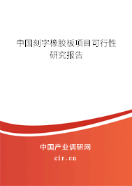 中國刻字橡膠板項目可行性研究報告