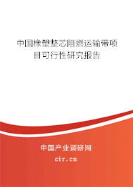 中國橡塑整芯阻燃運(yùn)輸帶項目可行性研究報告