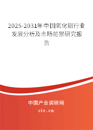 2025-2031年中國氧化銦行業(yè)發(fā)展分析及市場前景研究報告 2025-2031年中國氧化銦行業(yè)發(fā)展分析及市場前景研究報告
